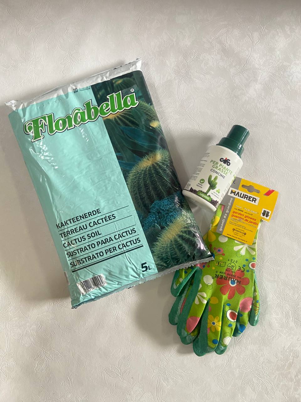 Kit piante grasse Florabella & Cifo + Omaggio a scelta