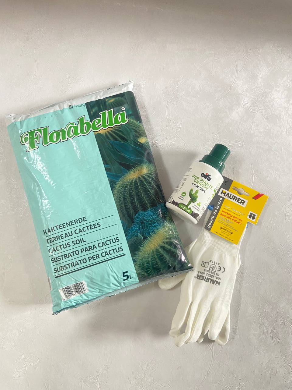 Kit piante grasse Florabella & Cifo + Omaggio a scelta
